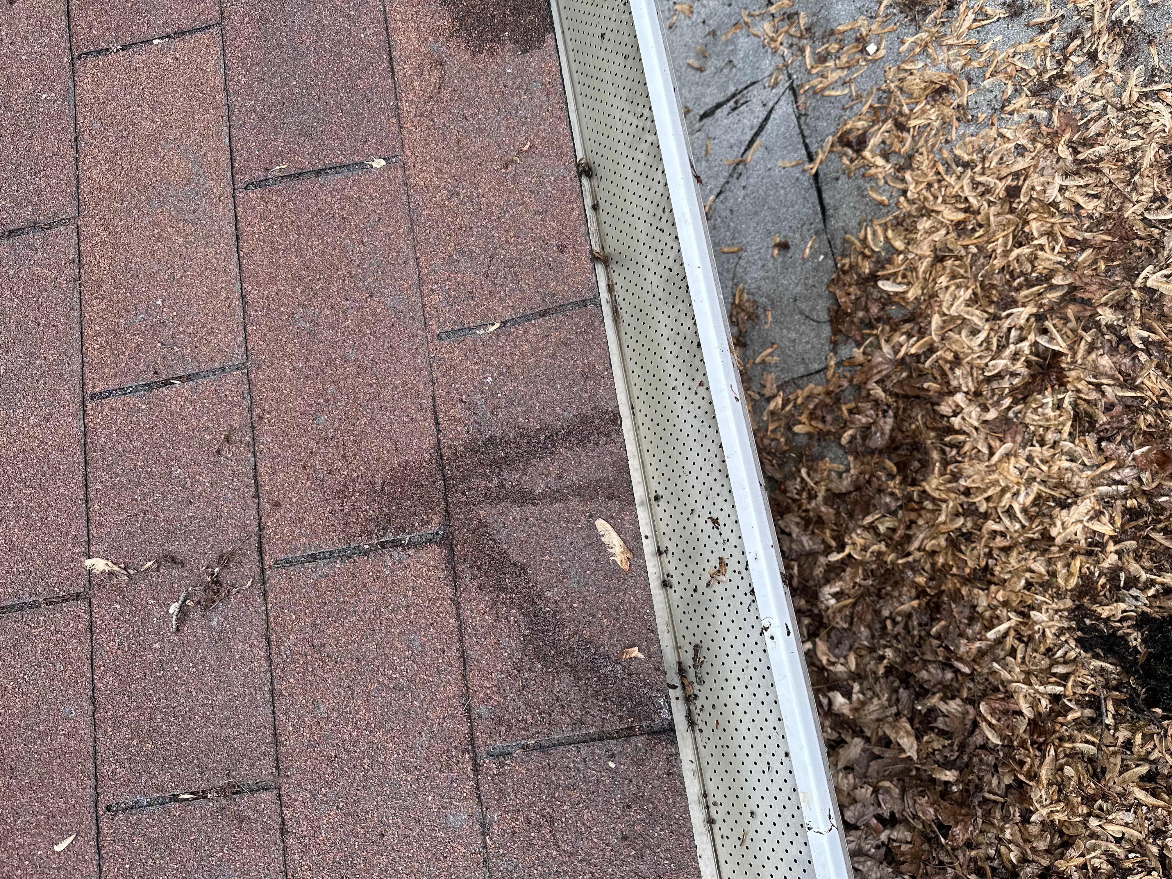 Clear gutter after cleaning close-up
